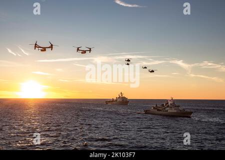 Ostsee, Internationale Gewässer. 06. September 2022. US Navy and Marine Corps Aircraft fliegen über die portugiesische Marine Vasco da Gama-Klasse NRP Core-Real, Right und US Navy Whidbey Island-Klasse Dock-Landungsschiff USS Gunston Hall während einer NATO Manöver Übung, 6. September 2022 in der Ostsee. Kredit: MC1 John Bellino/Planetpix/Alamy Live Nachrichten Stockfoto