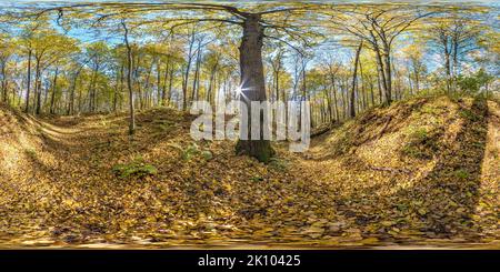 360 Grad Panorama Ansicht von Full seamless spherical hdri 360 Panorama in baumbedeckter Schlucht im Herbstwald an sonnigem Tag in äquirechteckiger kugelförmiger Projektion mit Fußweg i