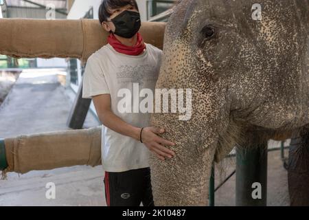 Lampang, Thailand. 10. Januar 2022. Elefantenpfleger beruhigt Elefantenchand Nuan, als sie im „Friends of the Asian Elephant Hospital“ eine Elektroakupunktur erhält. Das Friends of the Asian Elephant Hospital im Norden Thailands ist das erste Elefantenkrankenhaus der Welt. Seit 1993 behandelt sie Elefanten mit Beschwerden, die von Augeninfektionen bis zu Landminenverletzungen reichen. (Bild: © Ana Norman Bermudez/SOPA Images via ZUMA Press Wire) Stockfoto