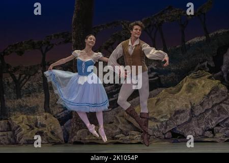 London, Großbritannien. 13.. September 2022. Das United Ukrainian Ballet spielt Giselle im London Coliseum. Unter der Leitung des renommierten Choreografen Alexei Ratmansky und mit den Gastperformern Katja Khaniukova und Alina Cojocaru erzählt die Full Company der Flüchtlingstänzer aus der Ukraine alle ihre eigenen Geschichten, wie sie ihre Häuser verlassen, um der Company beizutreten. Unterstützt von der English National Opera und dem Birmingham Royal Ballet, die die Kostüme, das Set und das Orchester liefern. Kredit: Guy Corbishley/Alamy Live Nachrichten Stockfoto