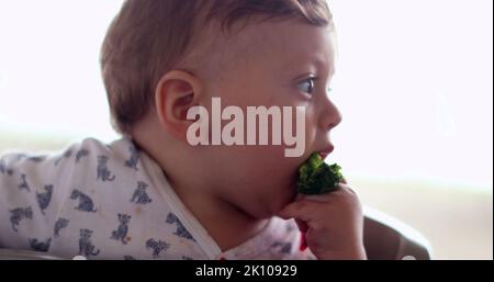 Kleinkind Baby sitzt auf Hochstuhl essen Brokkoli Stockfoto