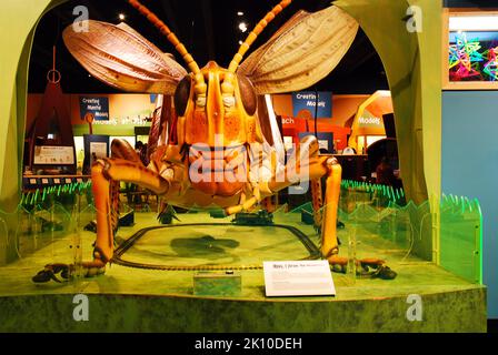 Eine überlebensgroße Heuschrecke im Boston Museum of Science im Insektenraum Stockfoto