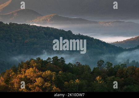 Das Licht des Sonnenaufgangs färbt die Hügel, während Nebel die Täler vom Foothills Parkway, dem Great Smoky Mountains National Park, Blount County, Tennessee, überflutet Stockfoto