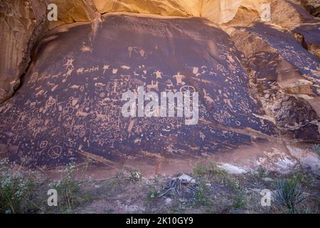 Petroglyphs Newspaper Rock in San Juan County, Utah, ist mit Hunderten von Petroglyphen bedeckt. Stockfoto