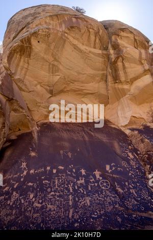 Petroglyphs Newspaper Rock in San Juan County, Utah, ist mit Hunderten von Petroglyphen bedeckt. Stockfoto