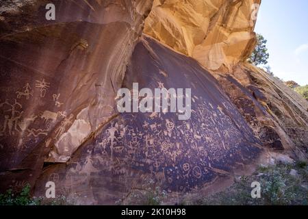 Petroglyphs Newspaper Rock in San Juan County, Utah, ist mit Hunderten von Petroglyphen bedeckt. Stockfoto
