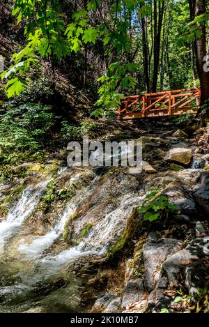 Crystal Creek bildet einen kleinen Wasserfall, der unter einer roten Brücke neben dem Wanderweg zu den Whiskeytown Falls im Shasta County im Norden Kaliforniens fließt. Stockfoto