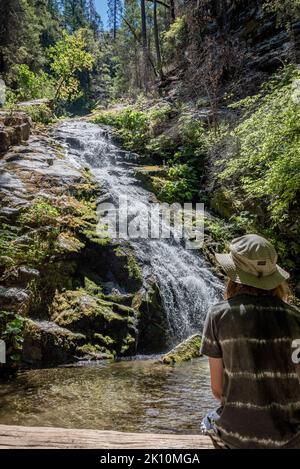 Ein Junge sitzt auf einer Sommerwanderung in den Klamath Mountains, Shasta County, Nordkalifornien, und beobachtet die unteren Whiskeytown Falls, einen kaskadierenden Wasserfall. Stockfoto