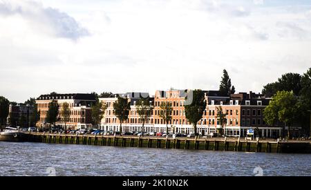 Stadthäuser am Fluss Nieuwe Maas in Rotterdam, Holland, Niederlande Stockfoto