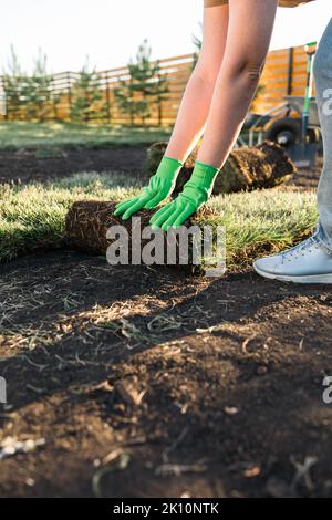 Nahaufnahme Frau legt Spott für neuen Garten Rasen - Rasen Verlegung Konzept Stockfoto