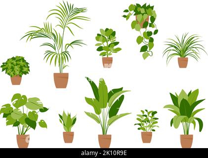 Sammlung von Heimpflanzen. Topfpflanzen isoliert auf Weiß. Vektorset grüne Pflanzen. Trendige Inneneinrichtung mit Pflanzen. Stock Vektor