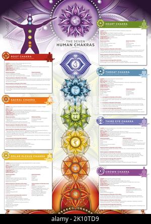 Powerful 7 Chakra - Infografik Poster/Tapete mit detaillierter Beschreibung, Merkmalen und Merkmalen Stockfoto