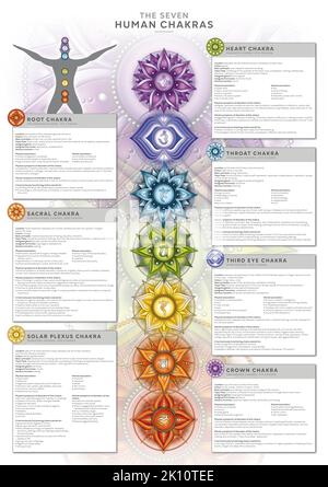 Powerful 7 Chakra - Infografik Poster/Tapete mit detaillierter Beschreibung, Merkmalen und Merkmalen Stockfoto