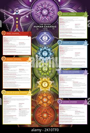 Powerful 7 Chakra - Infografik Poster/Tapete mit detaillierter Beschreibung, Merkmalen und Merkmalen Stockfoto