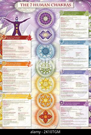 Powerful 7 Chakra - Infografik Poster/Tapete mit detaillierter Beschreibung, Merkmalen und Merkmalen Stockfoto