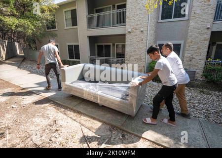 Austin Texas USA, September 13 2022: Die männlichen Mitglieder einer afghanischen Flüchtlingsfamilie helfen, Möbel in eine Wohnung im Norden von Austin zu verlegen, mehr als ein Jahr nachdem sie 2021 ihre vom Krieg zerrissene Heimat verlassen haben. Die zehnköpfige Familie verbrachte 13 Monate in einem Flüchtlingslager in Dubai, bevor sie über die Türkei in die USA verschifft wurde. ©Bob Daemmrich Stockfoto