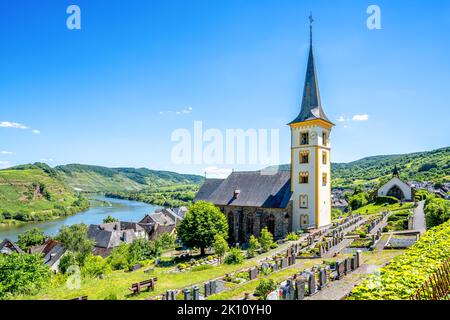 Blick über das Moseltal in Piesport, Deutschland Stockfoto