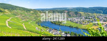 Blick über das Moseltal in Piesport, Deutschland Stockfoto