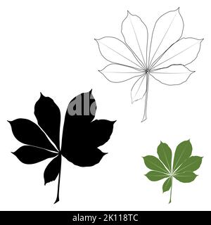 Set von Vektor Kastanienblatt Umriss, Silhouette schwarz und farbigen Symbol. Einfache Kastanienblätter Illustration für Logo. Realistische handgezeichnete Blätter Stock Vektor