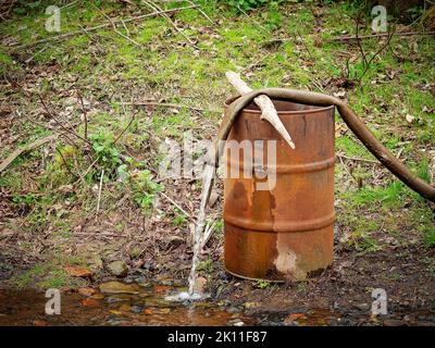 Wasser fließt aus einem Schlauch, der in der Natur auf einem rostigen Fass liegt Stockfoto