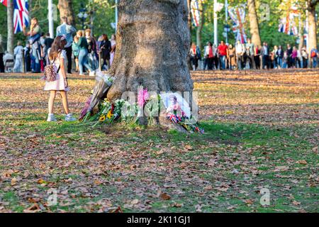 London, Großbritannien. 14. September 2022. Mitglieder der Öffentlichkeit bringen weiterhin Blumen und persönliche Kondolenzbotschaften in den Green Park in der Nähe des Buckingham Palastes, um ihre Trauer und Sympathie nach dem Tod von Königin Elizabeth II., der dienstältesten britischen Monarchin, auszudrücken, die am 8. September auf der Burg Balmoral starb.Foto Horst A. Friedrichs Alamy Live Nachrichten Stockfoto