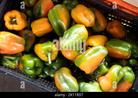 Bio-und frische Mischfarben Paprika im Fall auf dem Markt Stockfoto