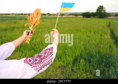 Unschärfe junge Frau in vyschywanka und Hut hält ukrainische Flagge und Weizenspitzen von Weizen gebunden und Flagge auf der Wiese Natur Hintergrund. Flagge Ukraine Stockfoto