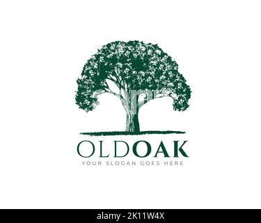 Vintage Old Oak Maple Tree Logo-Design Stock Vektor