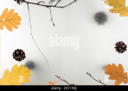 Herbstblätter auf einem trüben mehrstufigen Hintergrund, mit natürlichen Elementen, Treibholz und Ästen. Hochwertige Fotos Stockfoto