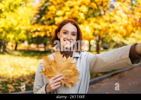 Frohes glückliches hübsches europäisches junges Rotschopf Dame im Regenmantel halten gelbe Blätter, nimmt Selfie für Blog Stockfoto