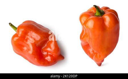 habanero Chilischoten isoliert auf weißem Hintergrund, rote Farbe heiße Sorte von Paprika, Sammlung mit verschiedenen Winkeln Stockfoto