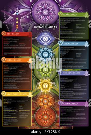 Powerful 7 Chakra - Infografik Poster/Tapete mit detaillierter Beschreibung, Merkmalen und Merkmalen Stockfoto