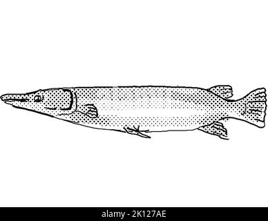 Cartoon-Stil Zeichnung eines Alligator gar oder Atractosteus Spatel Süßwasserfisch in Nordamerika mit Halbtonpunkten auf isoliertem Hintergrund in gefunden Stockfoto