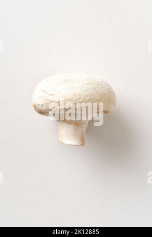 Detail des ganzen Pilzes isoliert auf weißem Tisch. Draufsicht. Vertikale Zusammensetzung. Stockfoto