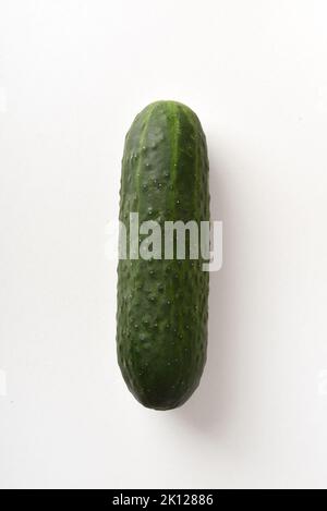 Detail der ganzen reifen Gurke mit Hautstruktur isoliert auf weißem Tisch. Vertikale Zusammensetzung. Stockfoto
