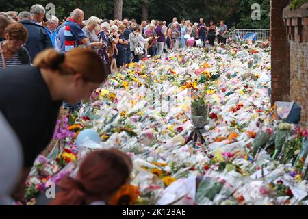 Sandringham, Großbritannien. 12. September 2022. Blumengebete heute, 12.. September, bei den Norwich Gates in Sandringham, Norfolk. Das Land trauert noch offiziell um Königin Elisabeth II., die von König Karl III. Abgelöst wurde Königin Elizabeth II. Starb am 8. September 2022, als sie im Balmoral Castle in Schottland wohnte. Kredit: Paul Marriott/Alamy Live Nachrichten Stockfoto