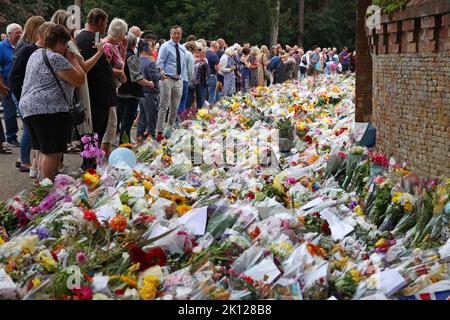 Sandringham, Großbritannien. 12. September 2022. Blumengebete heute, 12.. September, bei den Norwich Gates in Sandringham, Norfolk. Das Land trauert noch offiziell um Königin Elisabeth II., die von König Karl III. Abgelöst wurde Königin Elizabeth II. Starb am 8. September 2022, als sie im Balmoral Castle in Schottland wohnte. Kredit: Paul Marriott/Alamy Live Nachrichten Stockfoto