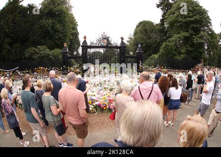 Sandringham, Großbritannien. 12. September 2022. Blumengebete heute, 12.. September, bei den Norwich Gates in Sandringham, Norfolk. Das Land trauert noch offiziell um Königin Elisabeth II., die von König Karl III. Abgelöst wurde Königin Elizabeth II. Starb am 8. September 2022, als sie im Balmoral Castle in Schottland wohnte. Kredit: Paul Marriott/Alamy Live Nachrichten Stockfoto