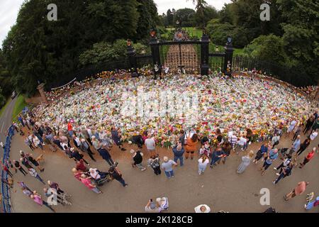 Sandringham, Großbritannien. 12. September 2022. Blumengebete heute, 12.. September, bei den Norwich Gates in Sandringham, Norfolk. Das Land trauert noch offiziell um Königin Elisabeth II., die von König Karl III. Abgelöst wurde Königin Elizabeth II. Starb am 8. September 2022, als sie im Balmoral Castle in Schottland wohnte. Kredit: Paul Marriott/Alamy Live Nachrichten Stockfoto