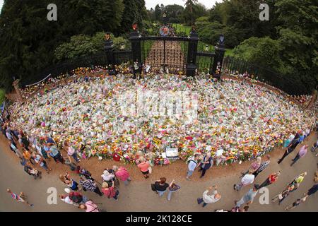 Sandringham, Großbritannien. 12. September 2022. Blumengebete heute, 12.. September, bei den Norwich Gates in Sandringham, Norfolk. Das Land trauert noch offiziell um Königin Elisabeth II., die von König Karl III. Abgelöst wurde Königin Elizabeth II. Starb am 8. September 2022, als sie im Balmoral Castle in Schottland wohnte. Kredit: Paul Marriott/Alamy Live Nachrichten Stockfoto