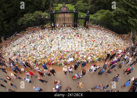 Sandringham, Großbritannien. 12. September 2022. Blumenschmuck an den Norwich Gates in Sandringham, Norfolk. Das Land trauert noch offiziell um Königin Elisabeth II., die von König Karl III. Abgelöst wurde Königin Elizabeth II. Starb am 8. September 2022, als sie im Balmoral Castle in Schottland wohnte. Kredit: Paul Marriott/Alamy Live Nachrichten Stockfoto