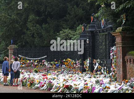 Sandringham, Großbritannien. 12. September 2022. Blumengebete heute, 12.. September, bei den Norwich Gates in Sandringham, Norfolk. Das Land trauert noch offiziell um Königin Elisabeth II., die von König Karl III. Abgelöst wurde Königin Elizabeth II. Starb am 8. September 2022, als sie im Balmoral Castle in Schottland wohnte. Kredit: Paul Marriott/Alamy Live Nachrichten Stockfoto