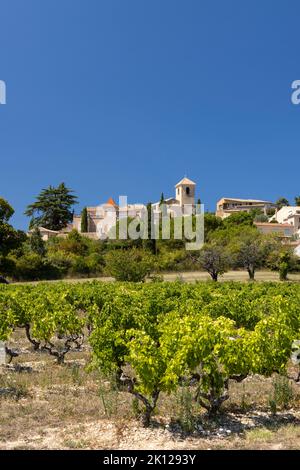 Typischer Weinberg in der Nähe von Vinsobres, Cotes du Rhone, Frankreich Stockfoto