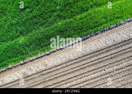 Luftaufnahme von oben. Bodenreihen vor und nach der Pflanzung. Stockfoto