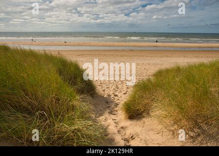 Wunderschöner Strand von Bergen aan Zee in Nordholland Stockfoto