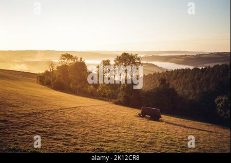 Sonnenaufgang über dem Taw Valley, fotografiert von High Bickington, North Devon, England , Vereinigtes Königreich. Stockfoto