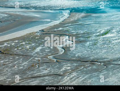 YANCHENG, CHINA - 12. SEPTEMBER 2022 - eine Luftaufnahme der "Gezeitenbäume" am Tiaozi-Schlamm-Feuchtgebiet in der Nähe des Gelben Meeres in Yancheng, Stockfoto