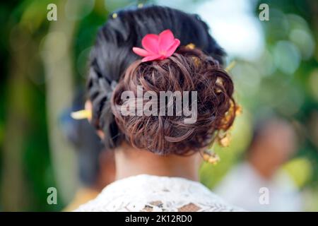 Haarrückseite einer jungen balinesischen Frau in einem Haarknoten und einem Haargeflecht mit einer Bali Frangipani Blume. Stockfoto