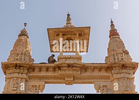 Affe sitzt am Tor des Krishna Meera Tempels in Amer Stadt in Indien Stockfoto