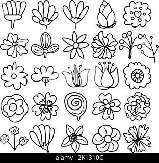 Blumen Handgezeichnete Doodle Line Art Outline Set mit Blumen, Blumen, Blüten, Flora, Blüte, Baby Zahn, Kraut, mehrjährig, Rebe, jährlich, Knospe Stock Vektor